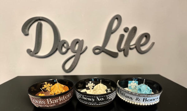 Dog's Life Designer Bowl Candles