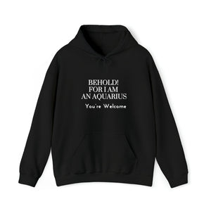 Aquarius Unisex Heavy Blend™ Hooded Sweatshirt