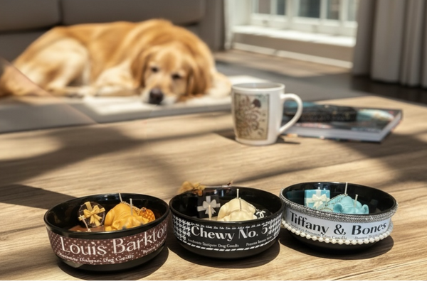 Dog's Life Designer Bowl Candles